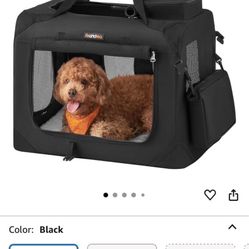 New Pet Carrier Was To Small Sitting In My Closet 