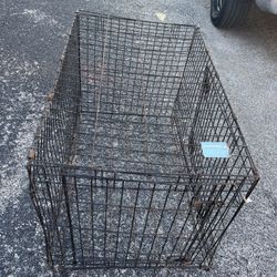 Large Kennel