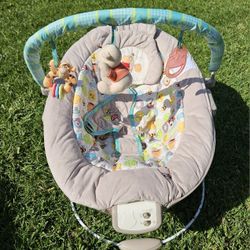 Baby Bouncer 