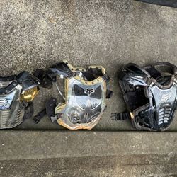 Fox Chest Protector (3x)