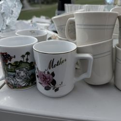Assorted Cups