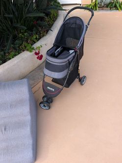 Pet stroller and ramps for pet