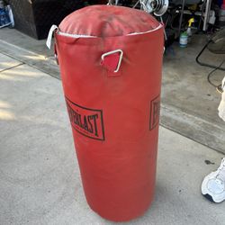 Punching Bag