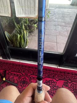 Diawa rod