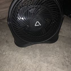 Fan