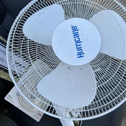 Fans 
