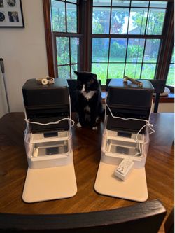Petlibro Automatic Cat Feeders with collar sensors x2