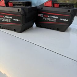 18 Volt $165 Each