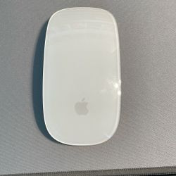 Apple Mouse 