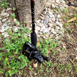 Fishing Rod And Reel