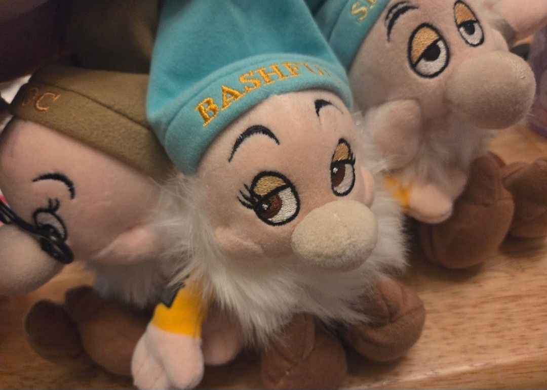 Disney Plushies Bundle