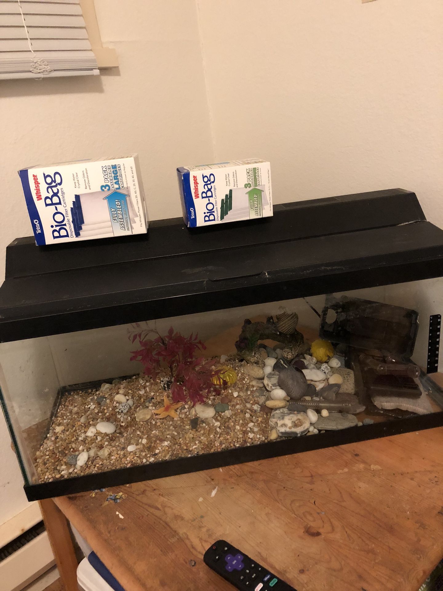 20 Gallon Fish Tank With Everything Needed 