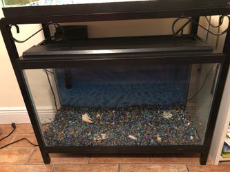 Fish tank