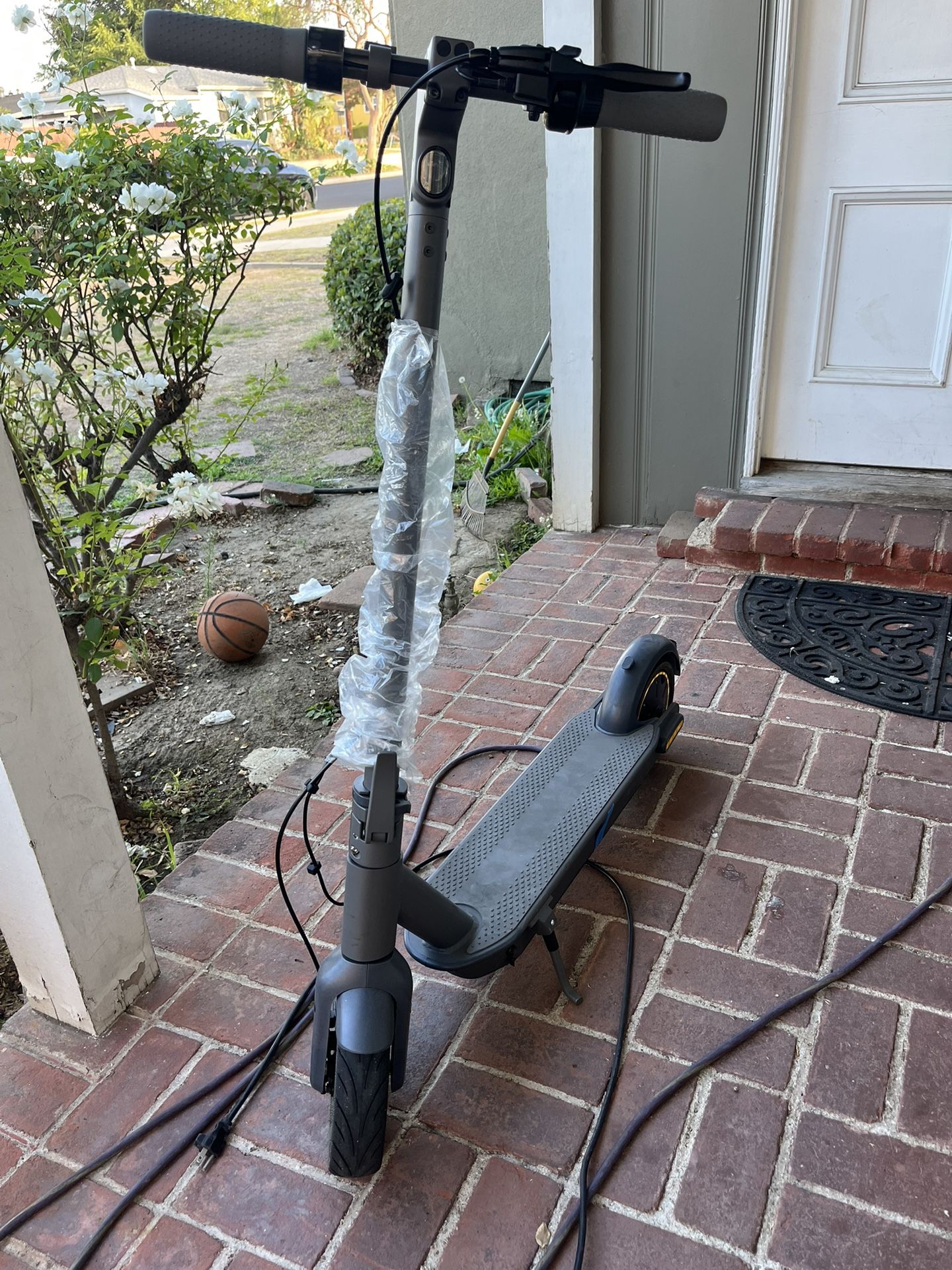 Brand New Scooter For Sale $300 OBO