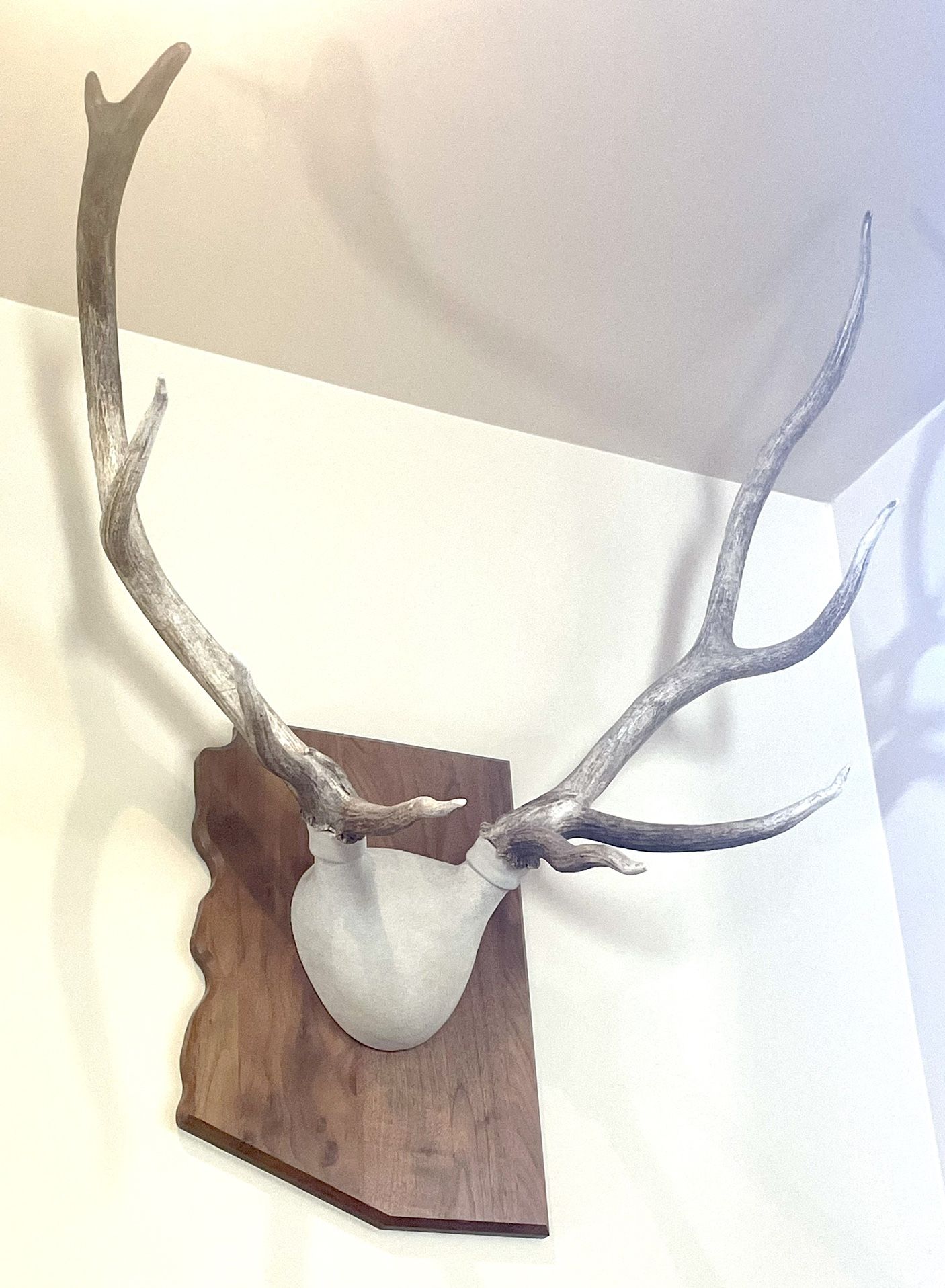 Elk Antler Mount (Arizona Wooden Plaque)