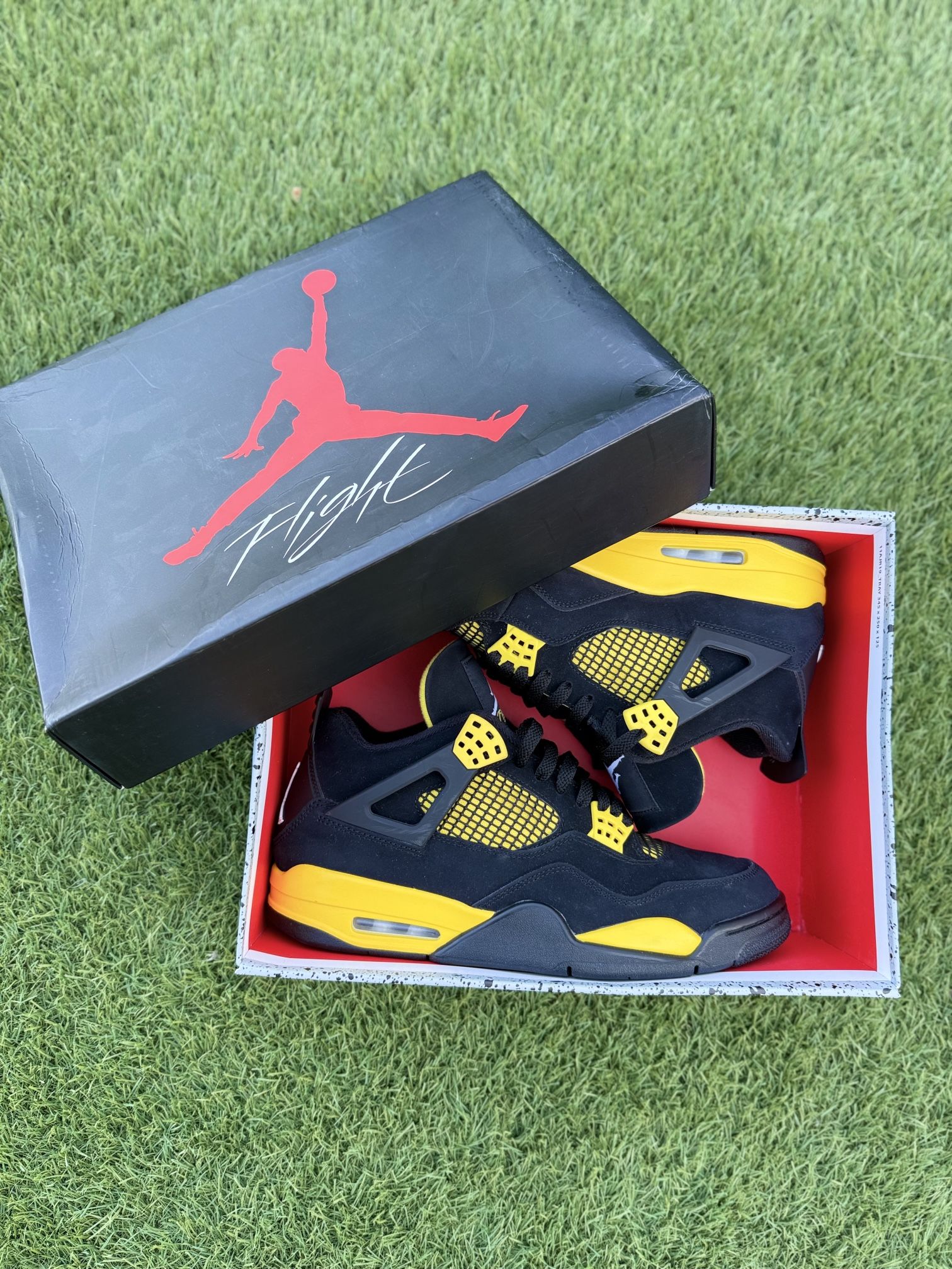 Retro Jordan 4s “Thunders”