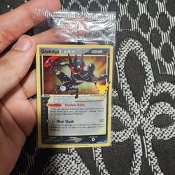 Greninja In wrap/bag