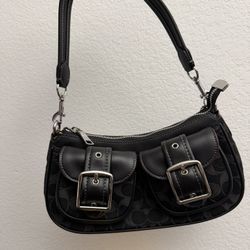 Coach Ashton Bag