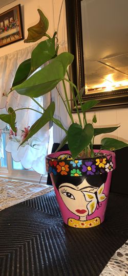 Flower pot and plant