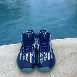 Brand New Kobe X Rays 🩻 Authentic 