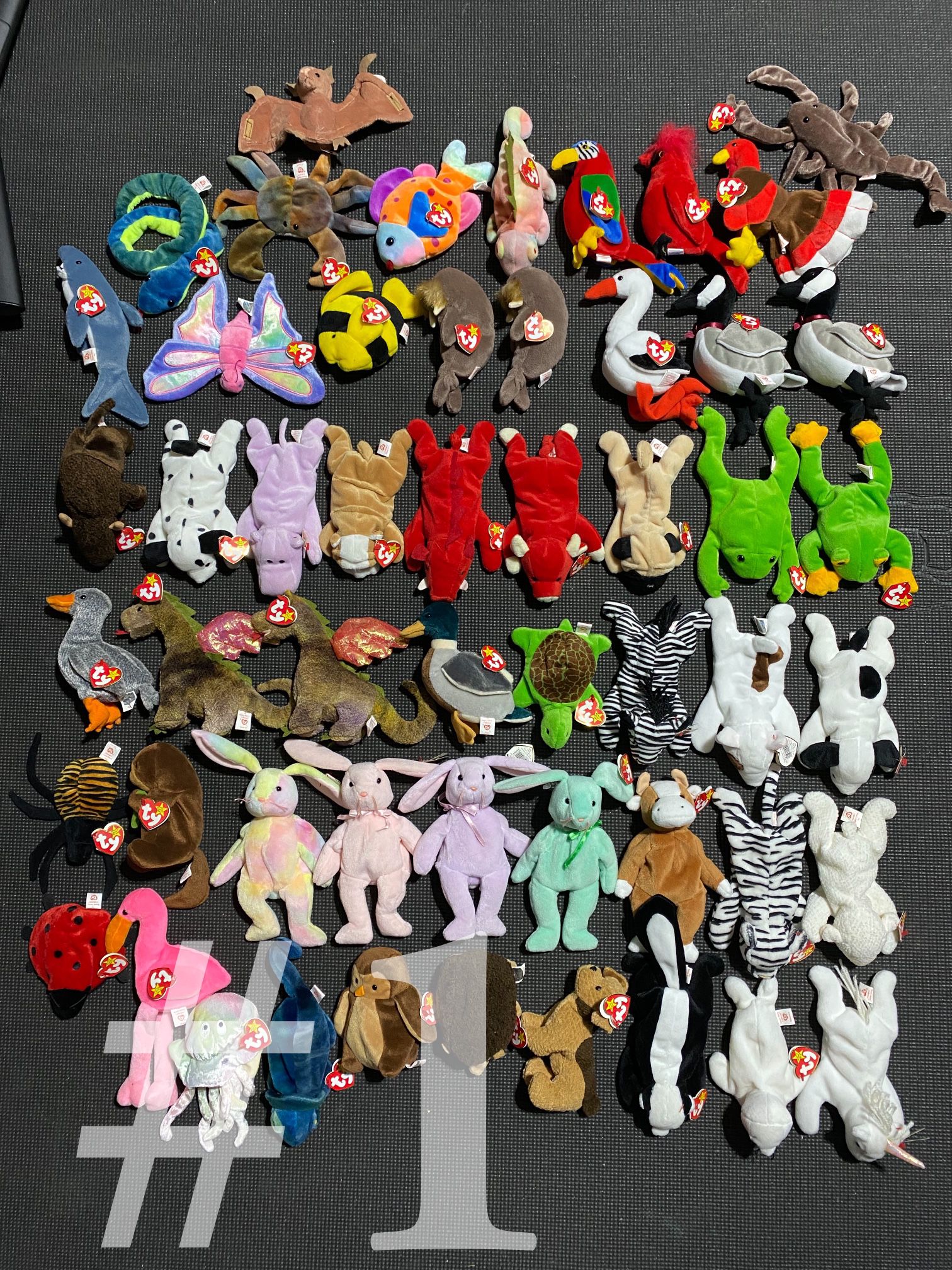 TY Beanie Baby Collection (234 Individual)