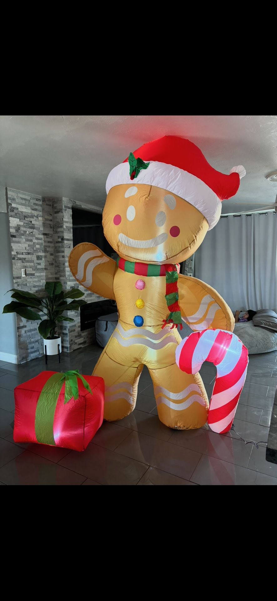 Christmas Inflatable