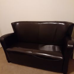 Coffee Bean Color Couch