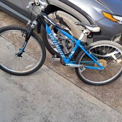 Specialized Rockhopper Mountain Bike 