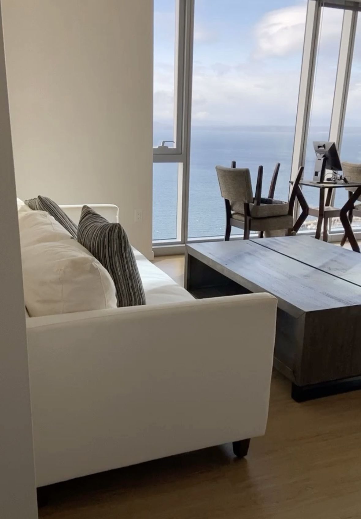 Modern Sofa - Washable Covers, Down Feather 