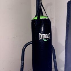 Everlast Punching Bag & Stand