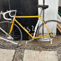 Master Ironman Bike Centurion