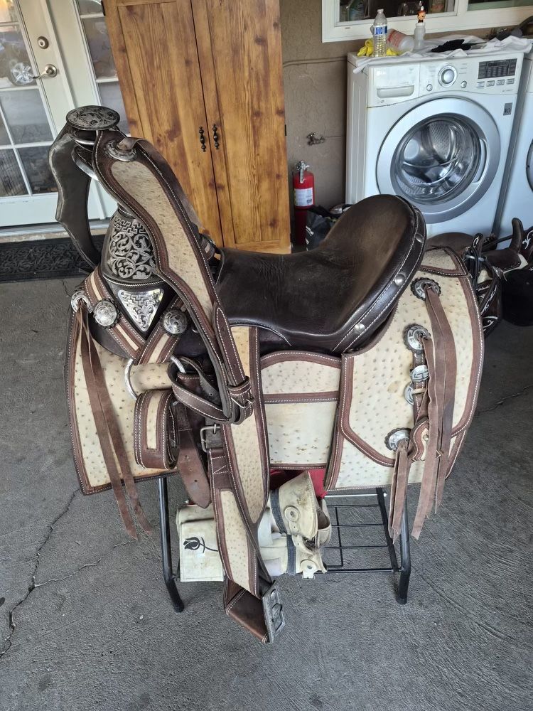 Montura De Avestruz/ Ostrich Saddle