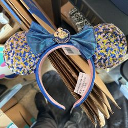 Disney Pass holder Ears