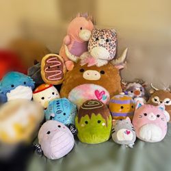 Huge Squishmallow Collectors Lot