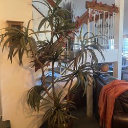 Fake Plant