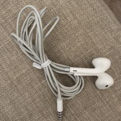 Apple Headphone/Earpods