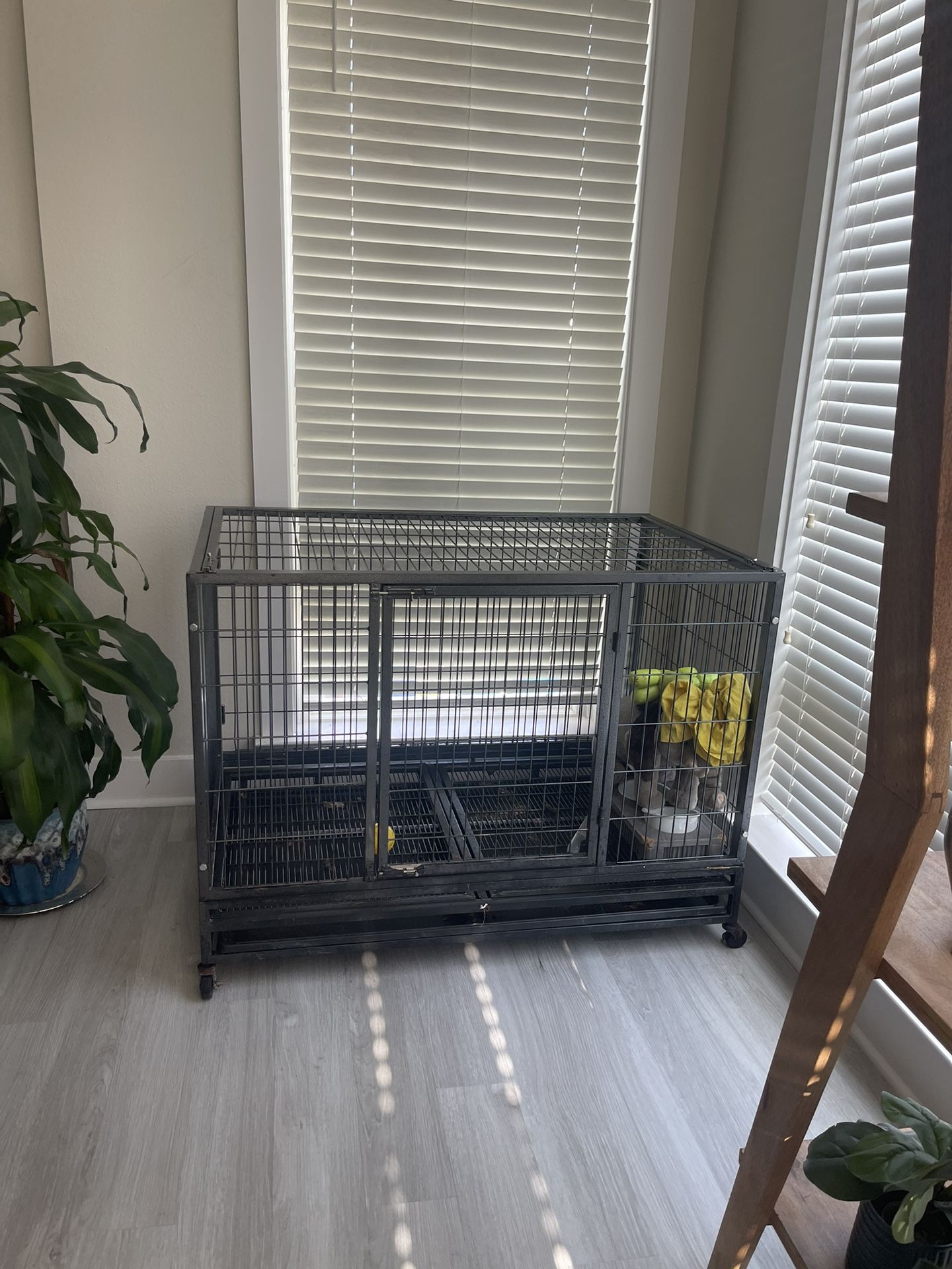 Large dog Crate