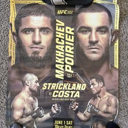 UFC Poster