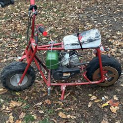 Colemen Mini Bike 