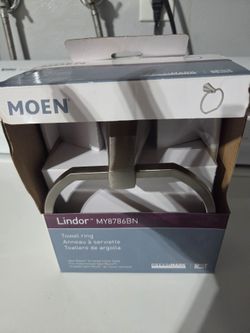 Moen Lindor towel ring