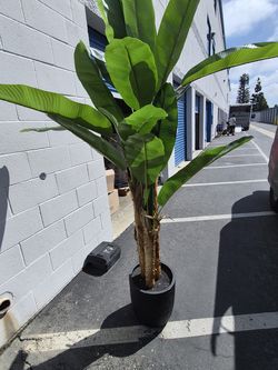 Fake plants