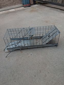 Rain animal traps cats for rats or cats in hats