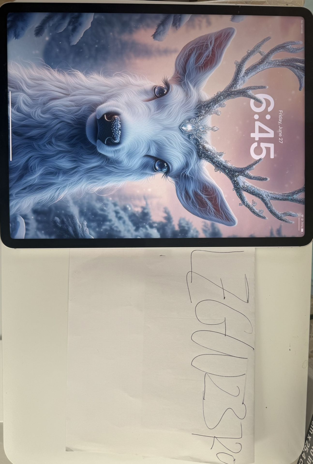 iPad Pro 12.9 6th Generation