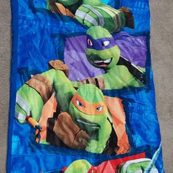 TmNT Toddller Sleeping Bag/pillow