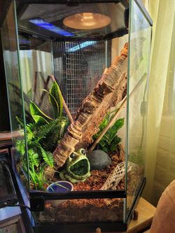 Front Opening Hexagon Terrarium 