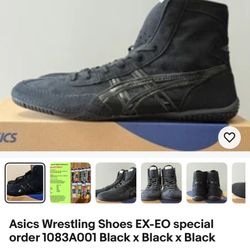 ASICS Exos Straight From Japan 