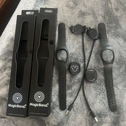 Disney MagicBand+ With Apple Watch Adapter 