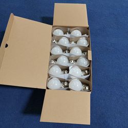 24-Pack A19 LED Light Bulb, 60 Watt Equivalent, Daylight 5000K, E26 Medium Base