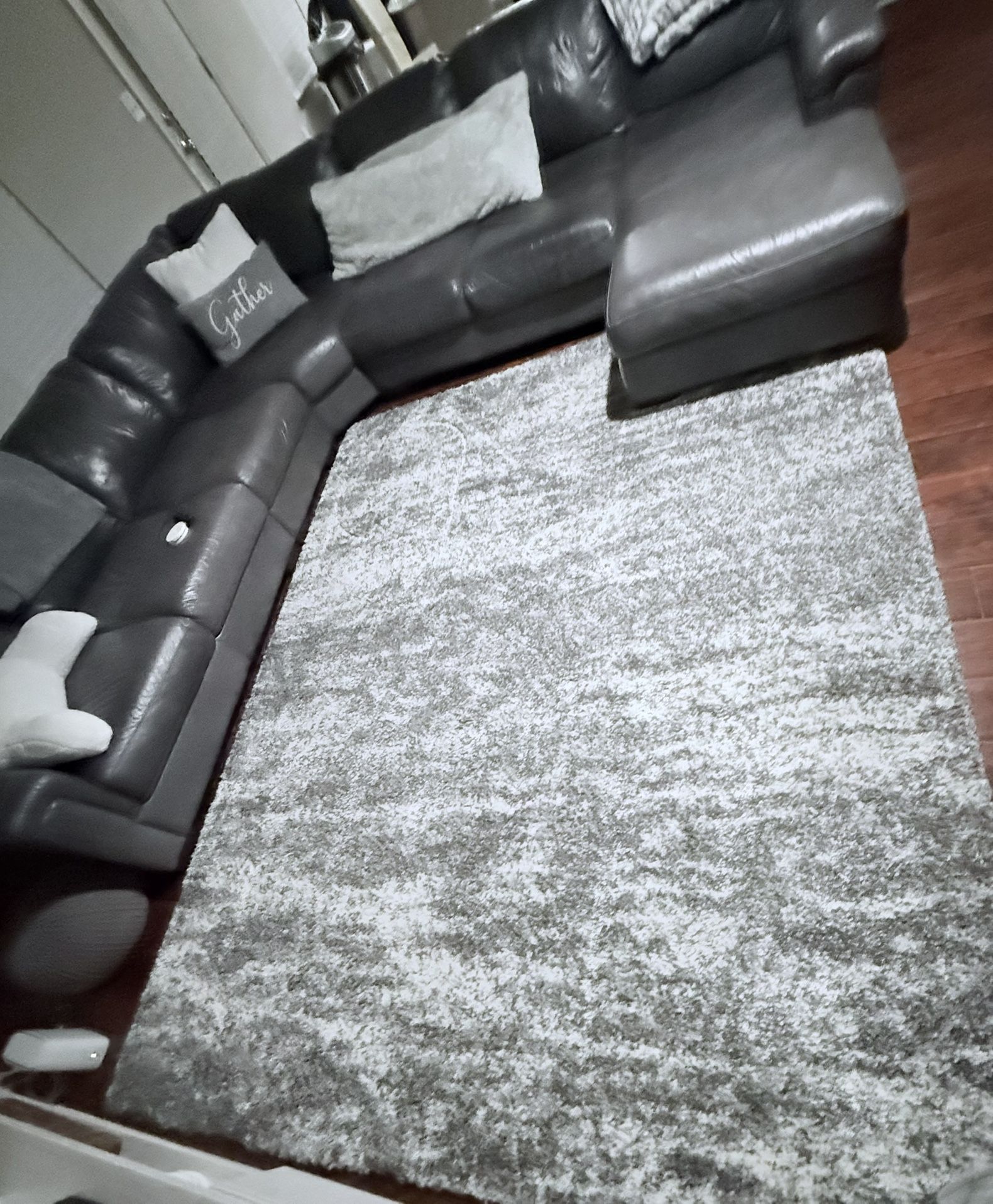 Area Rug 8x10 Plus Pillows