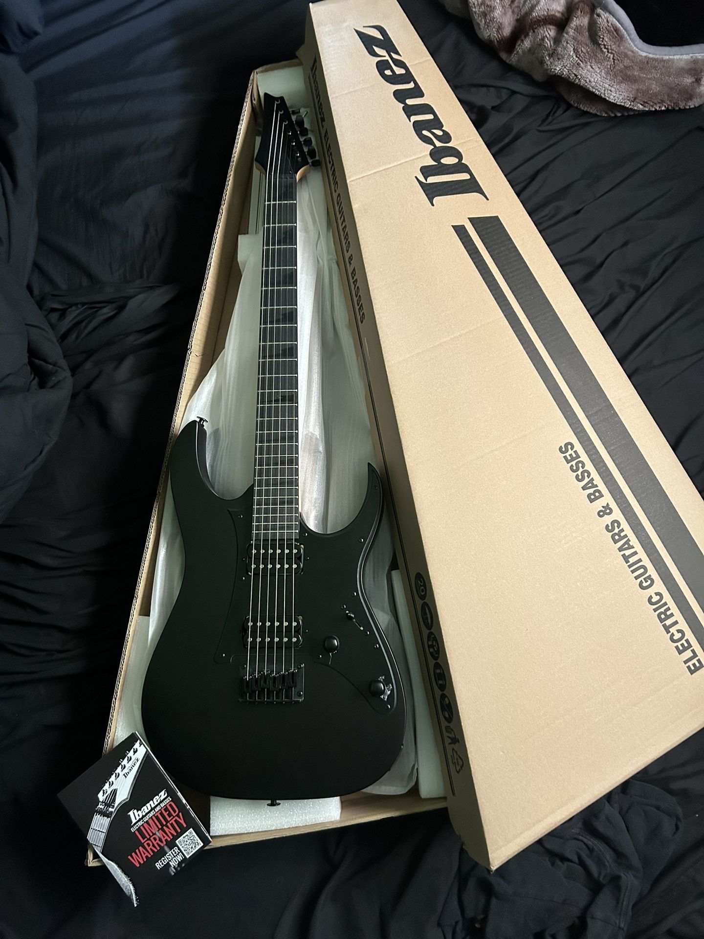 Ibanez Electric guitar
